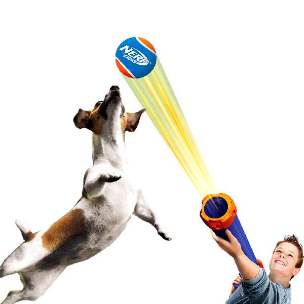 Best Robust Dog Toys Best Robust Dog Toys