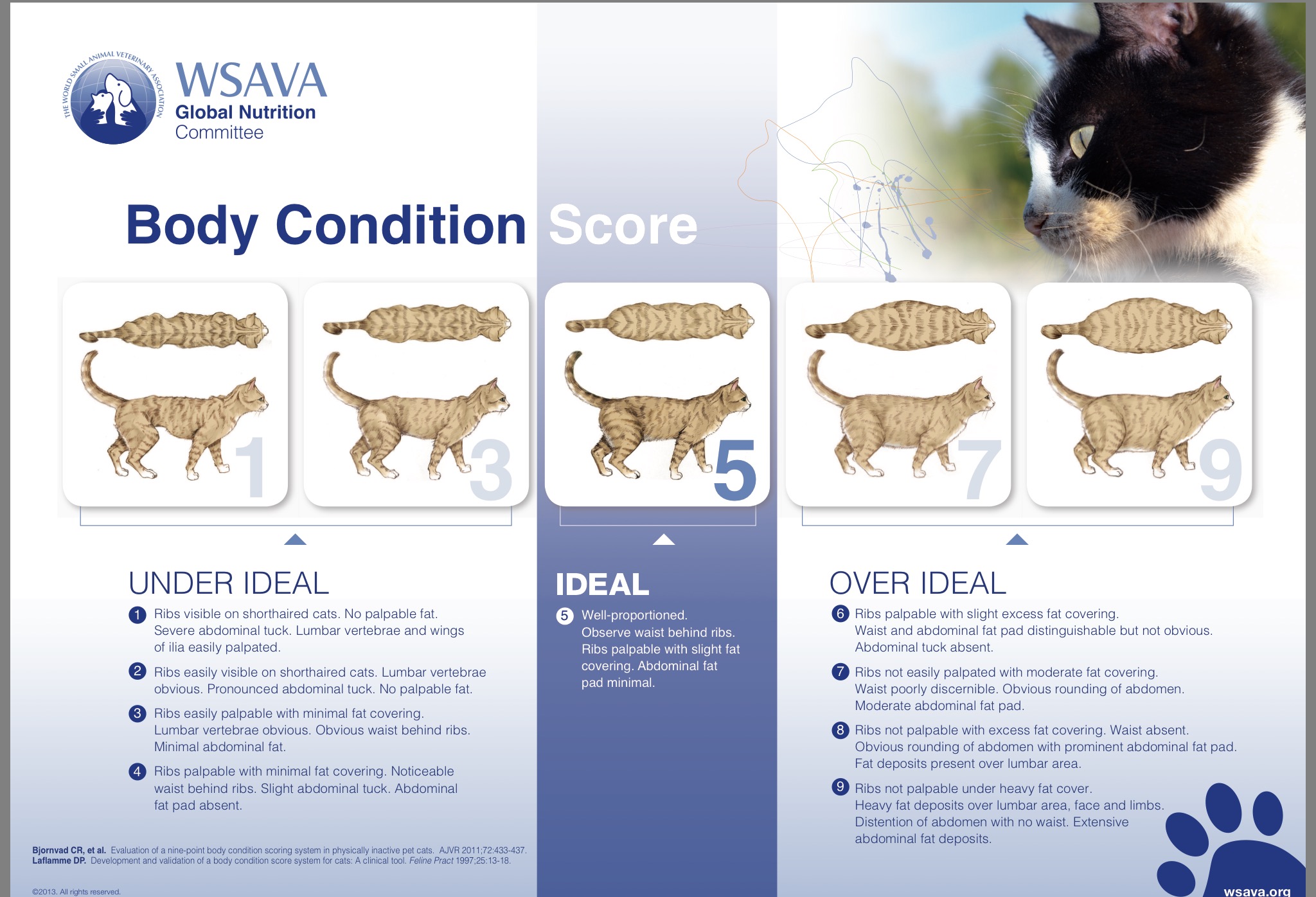 cat-s-redpaw-pet-supplies-shop