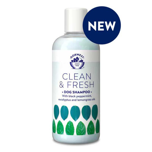 Dorwest Clean & Fresh Shampoo