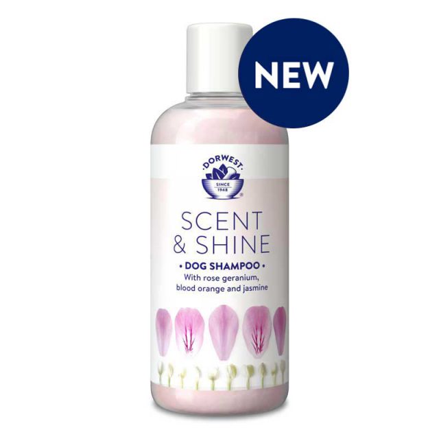 Dorwest Scent & Shine Shampoo