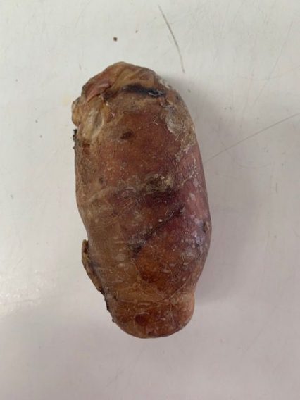 Bully Ball - Dried Bulls Testicle Dog Treat Chews