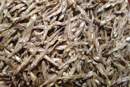 Bulk Buy 500g Sprats