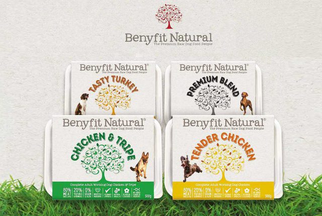 Benyfit Natural - Image 2