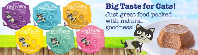 Little Big Paw Gourmet Seafood Selection Mousse 6 x 85g - Image 2