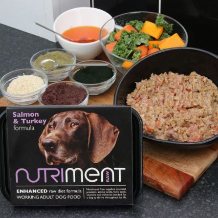 Nutriment Salmon & Turkey 500g