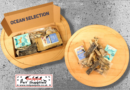 Ocean Selection - Dog Treats