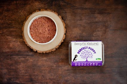 Benyfit Natural Perfect Puppy Turkey Raw Complete with Verm-X 500g