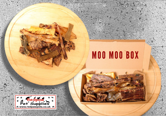 Moo Moo Box (100% Natural Beef Dog Treats)