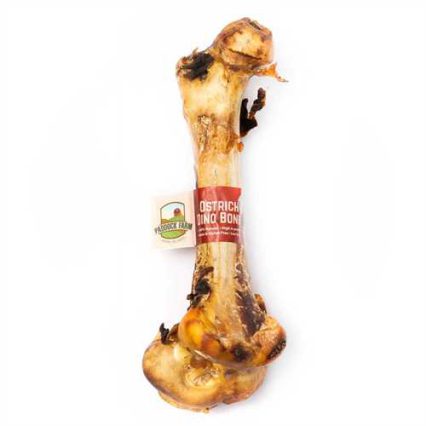 Large Ostrich Bone