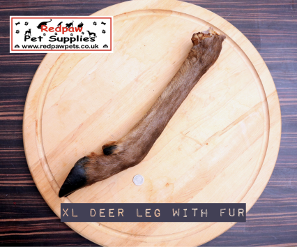 Deer Leg (x large) with fur.