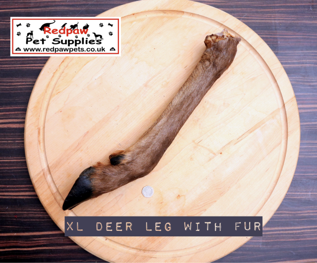 Deer Leg (x large) with fur.