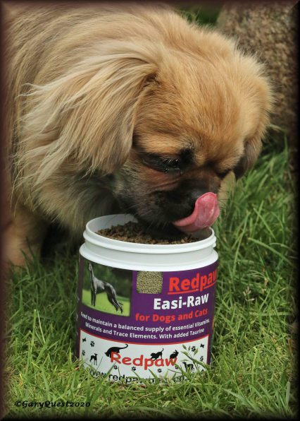 Redpaw Easi-Raw (500g refill)