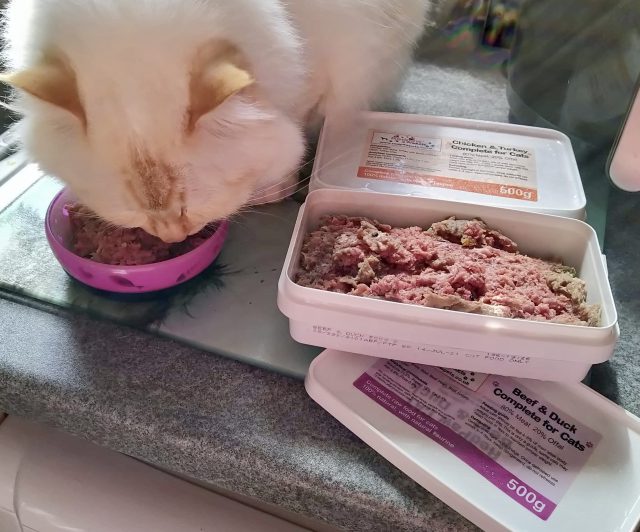 Redpaw Raw Beef & Duck Complete for Cats - 500g - Image 2