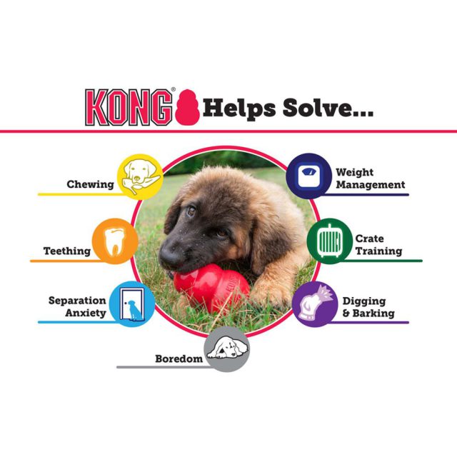 Kong Classic (Small) - Image 3