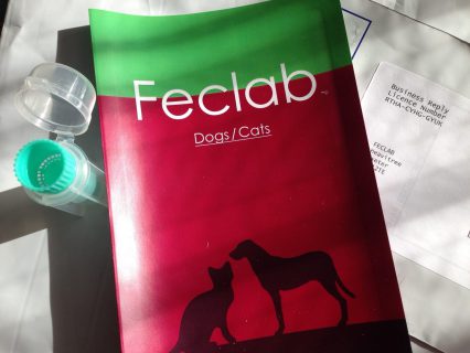 Feclab Lungworm Test Kit for Dogs (2 x Kits)