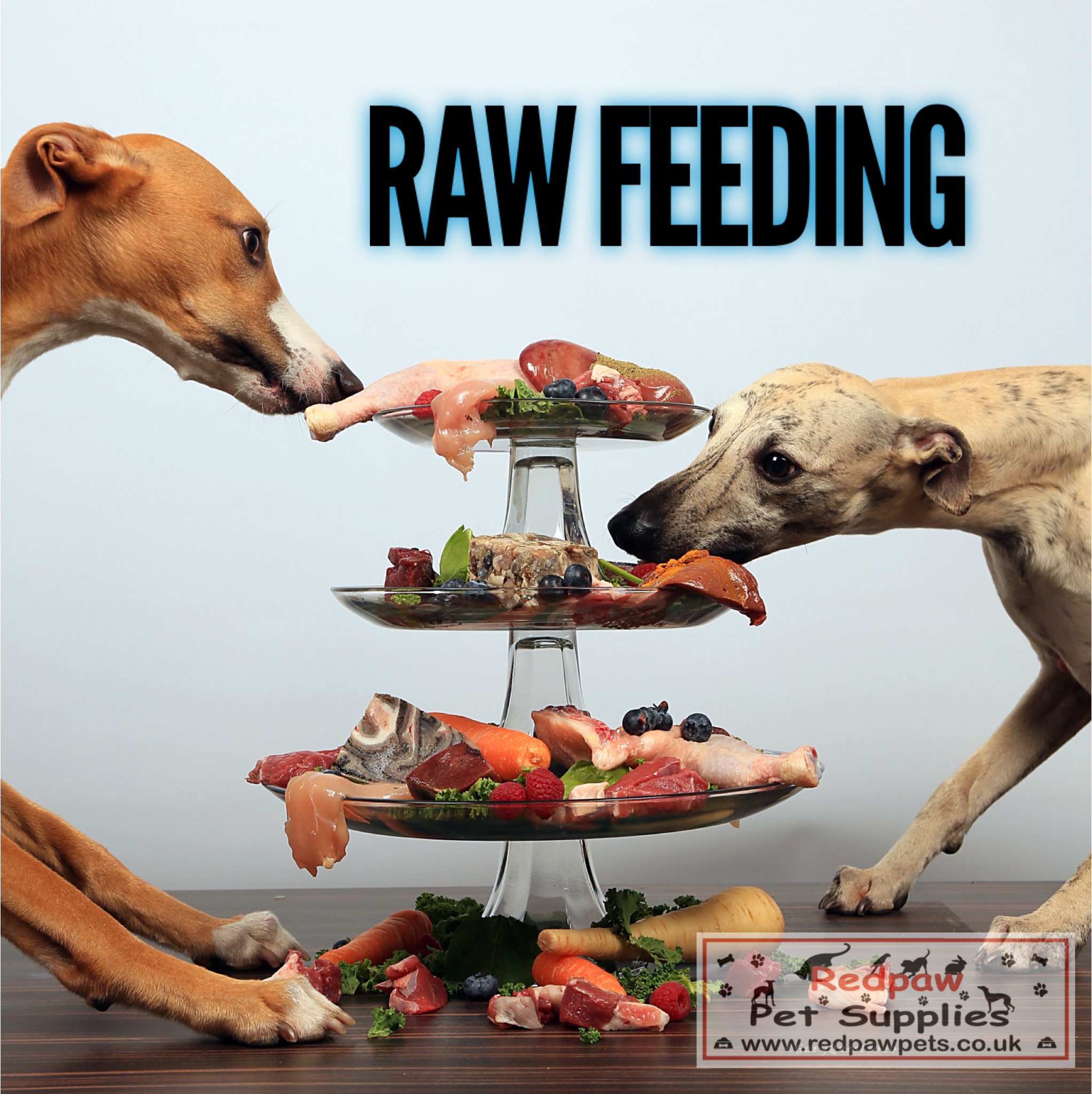 Raw Feeding Information