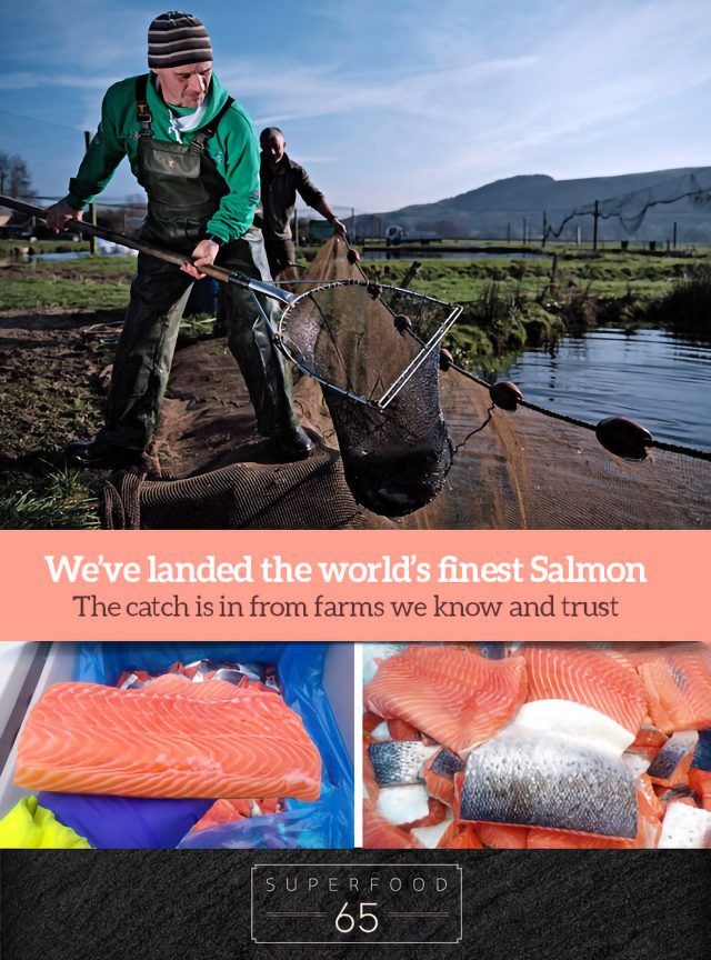 Redpaw - Bekind Superfood Salmon - Grainfree Food For Puppies & Growing Dogs - 65% Fish - Image 2