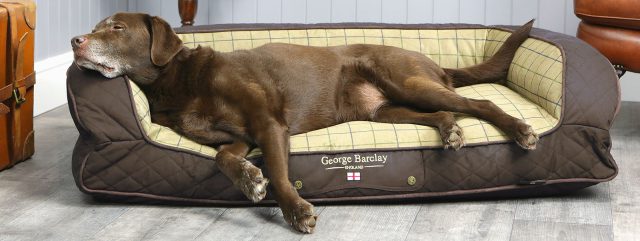 George Barclay Luxury Orthopaedic Dog Beds - Image 3