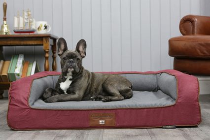 George Barclay Luxury Orthopaedic Dog Beds
