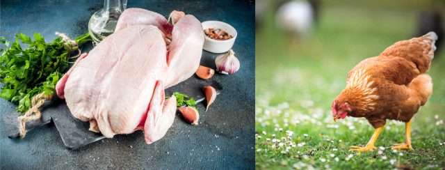Redpaw - BeKind Superfood 65% British Free Range Chicken 12kg, Adult Dog - Image 2