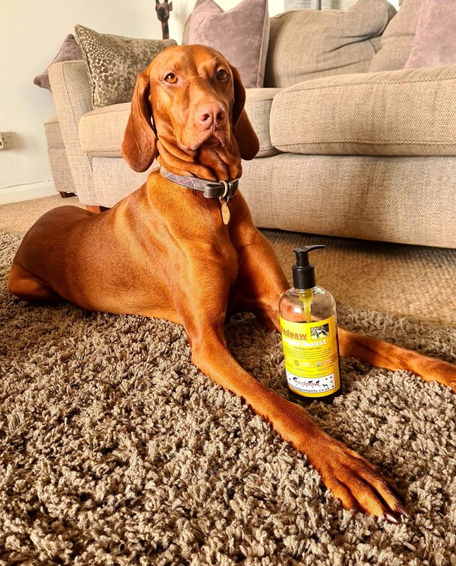 Redpaw Superboost 100% Pure Cold Pressed Hemp Oil - for dogs and cats - Image 2