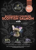 BeKind Puppy Salmon