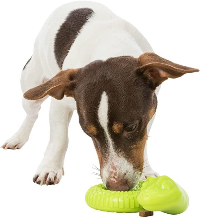 Large Interactive Treat Snake Dog Toy (Pink) - Image 4