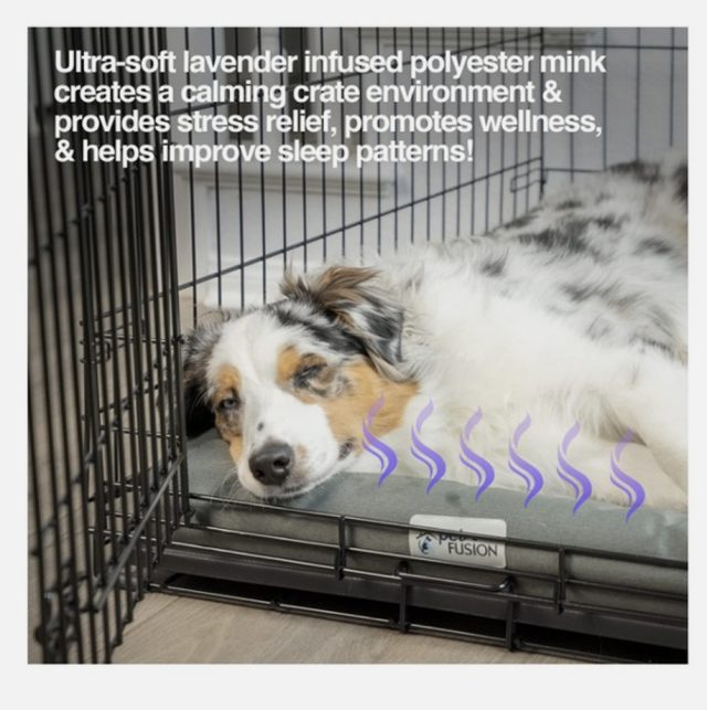 PetFusion All Season Temperature Control Crate Mat - Image 2