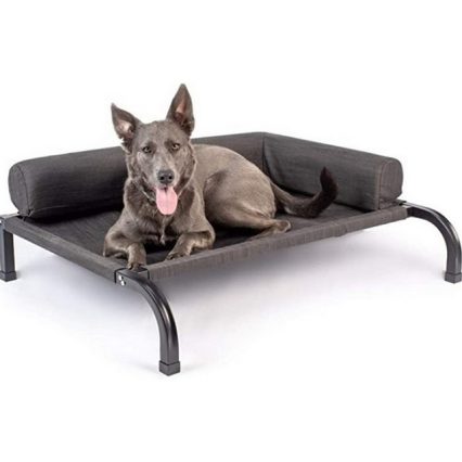 PetFusion Elevated Indoor/Outdoor Dog Bed