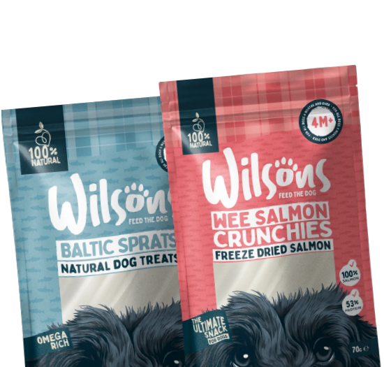 Wilson's all natural pet products new arrivals